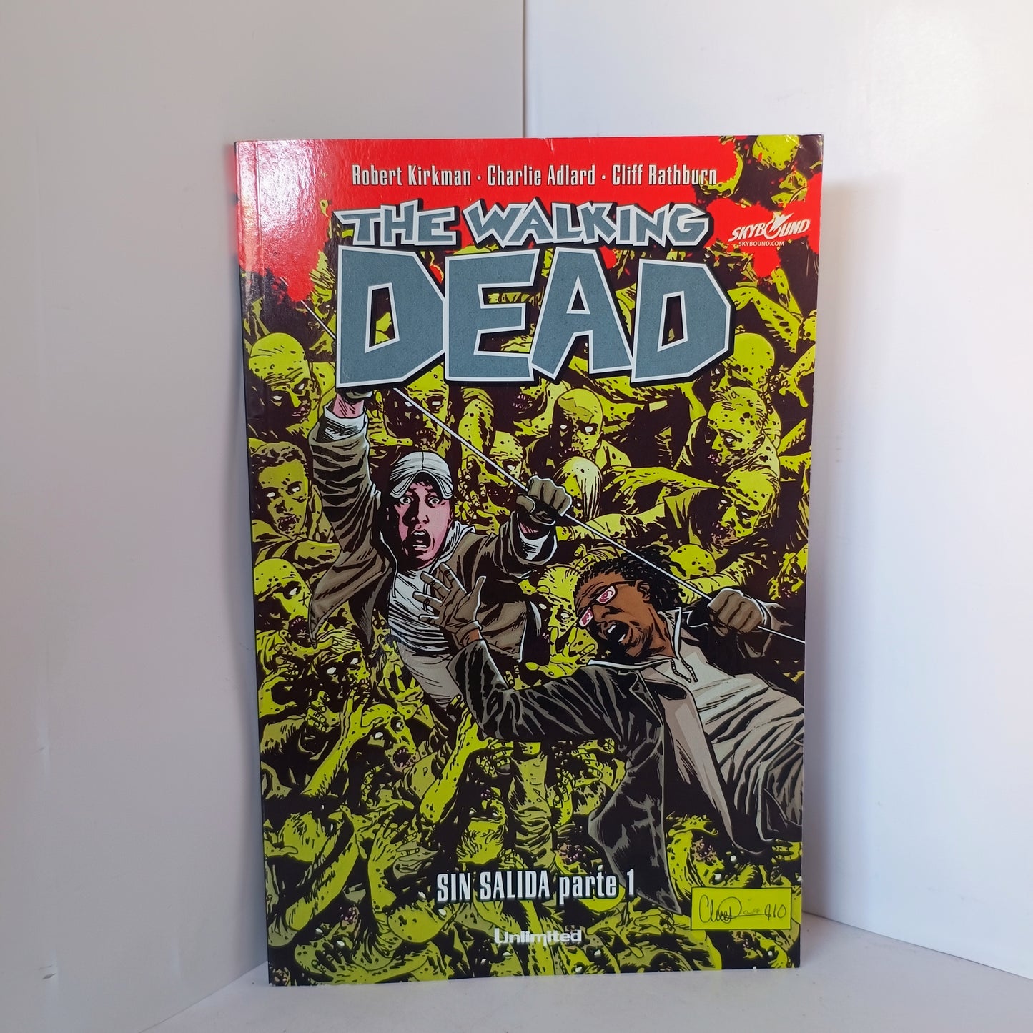 THE WALKING DEAD  SIN SALIDA